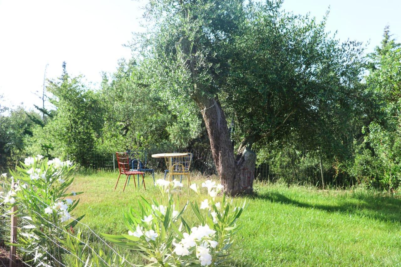 Essos Villas Dhërmi Εξωτερικό φωτογραφία
